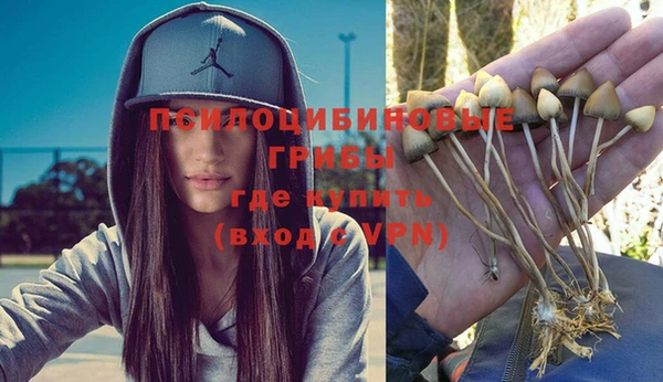 тгк Гусев