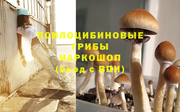 apvp Абинск