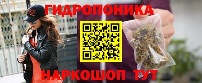 apvp Вязьма