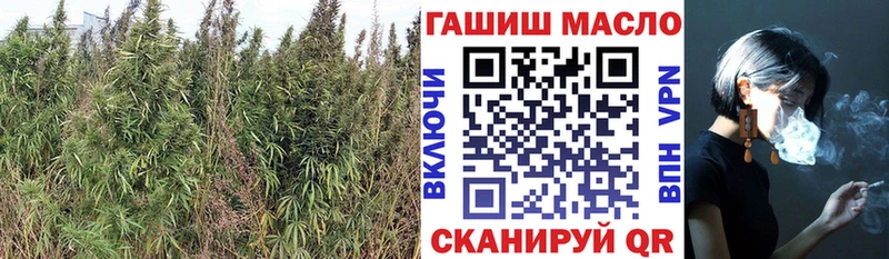 гидра зеркало  Канск  Дистиллят ТГК концентрат 