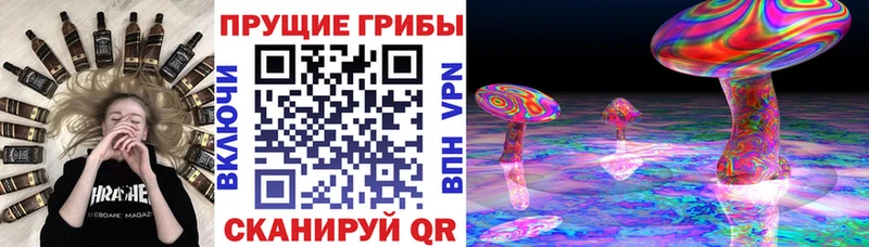 Псилоцибиновые грибы мухоморы  что такое   Канск 