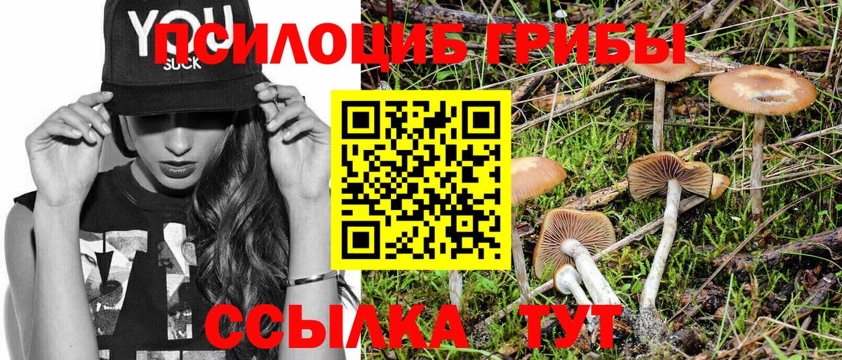 Псилоцибиновые грибы мицелий  Вход с VPN  Канск  Псилоцибиновые грибы ЛСД 