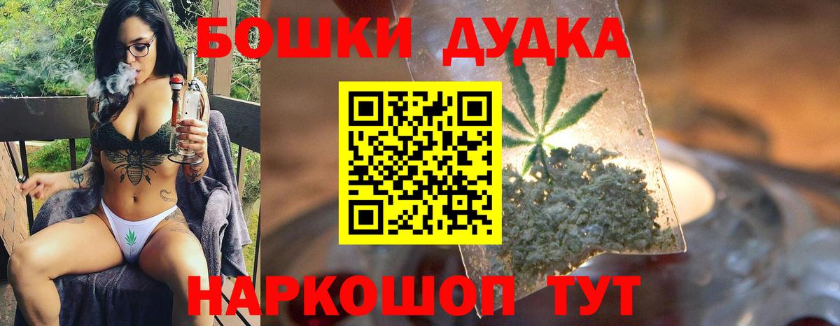 Канабис сатива Канск